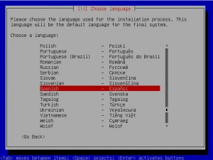 debian-lenny-install-2